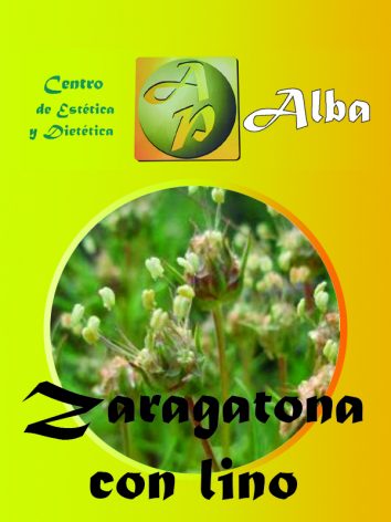 Zaragatona con lino 250 gr