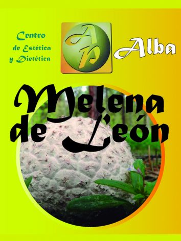 Melena de león – 60 caps