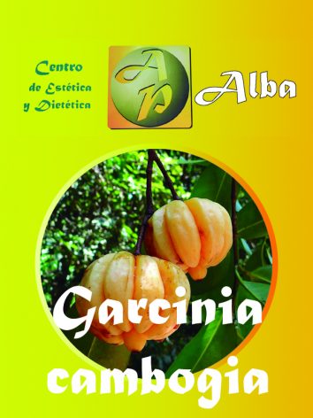 Garcinia cambogia – 60 caps