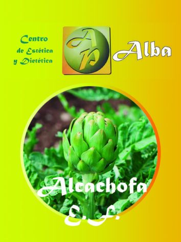 Alcachofa E.F.