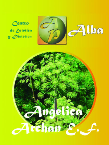 Angelica Archan E.F.