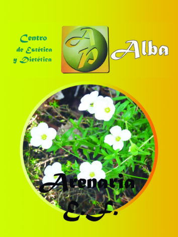 Arenaria E.F.