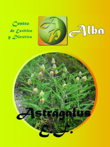 Astragalus E.F.