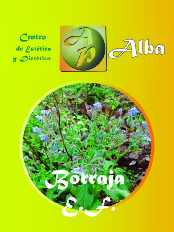 Borraja E.F.
