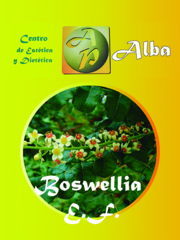 Boswellia E.F.