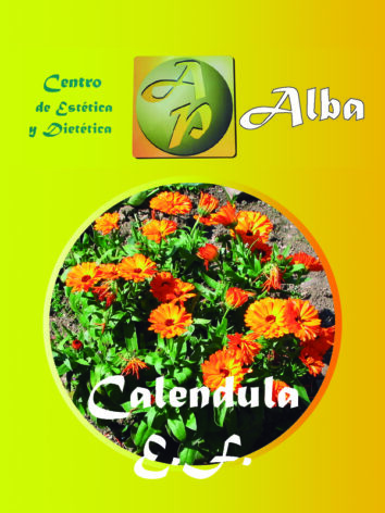 Calendula E.F.
