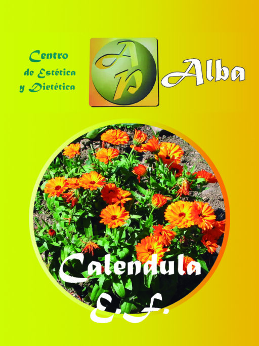 Calendula E.F.