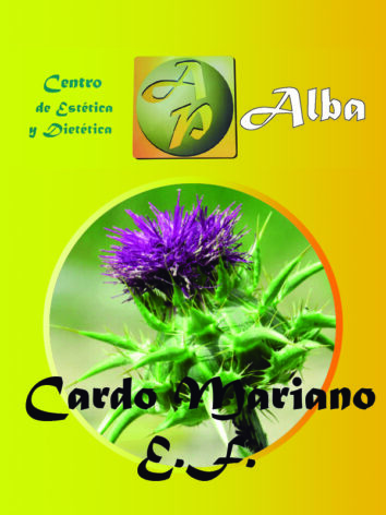 Cardo Mariano E.F.