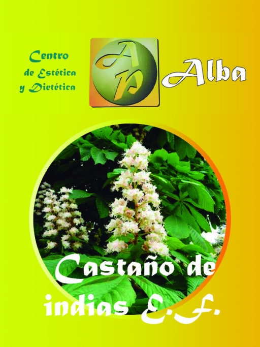 Castaño de indias E.F.