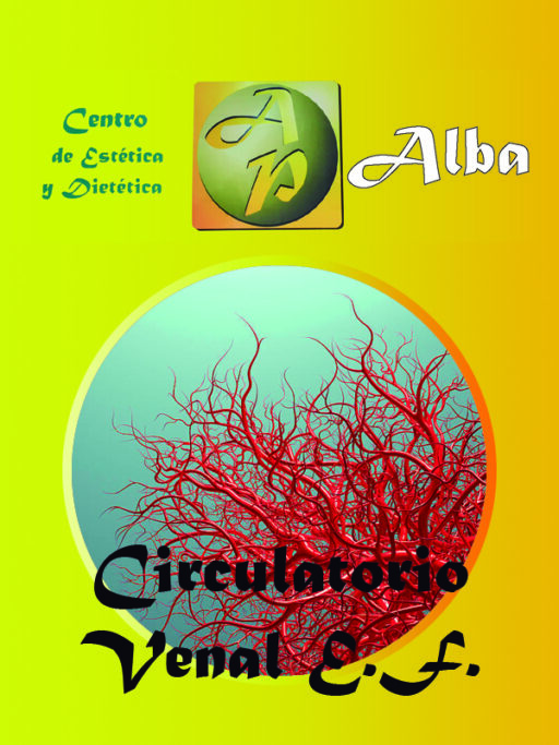 Circulatorio Venal E.F.