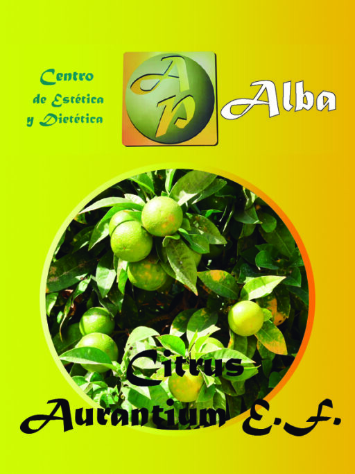 Citrus Aurantium E.F.