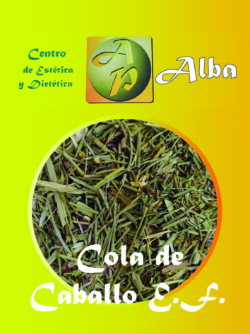 Cola de Caballo E.F.