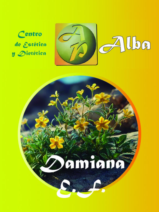 Damiana E.F.