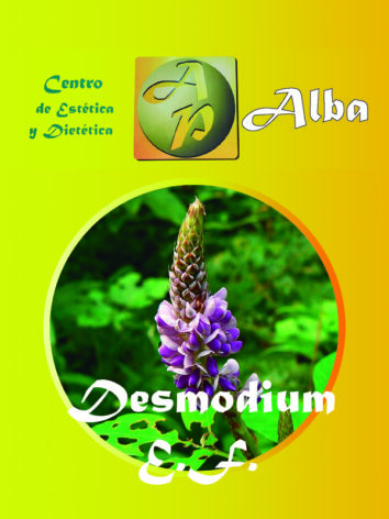 Desmodium E.F.