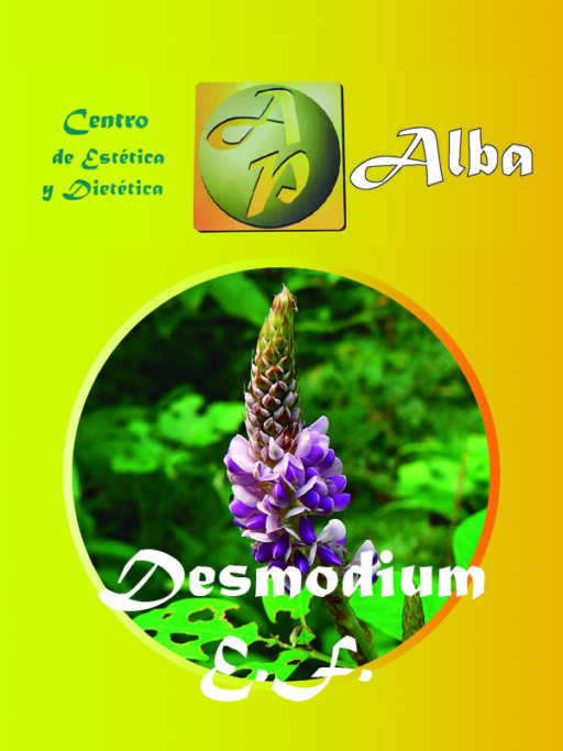 Desmodium E.F.