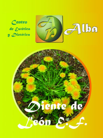 Diente de Leon E.F.
