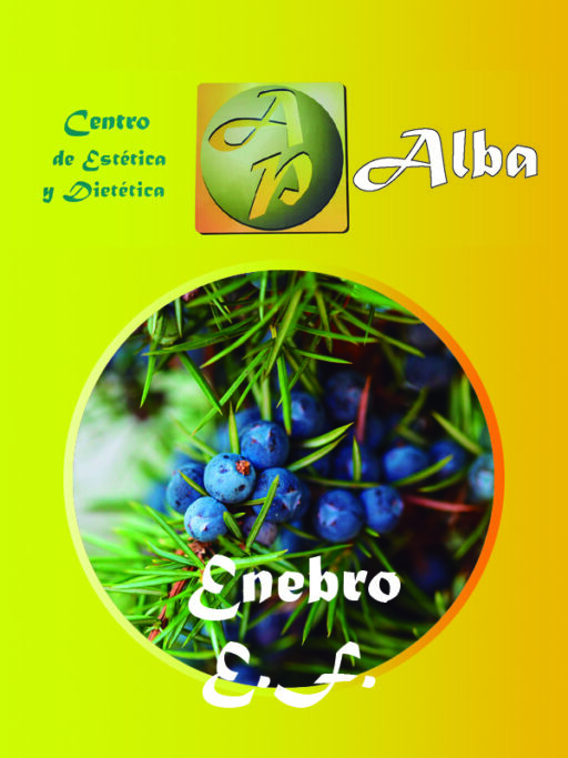 Enebro E.F.