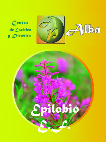 Epilobio E.F.