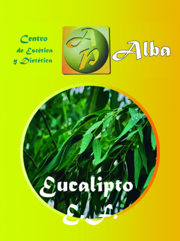 Eucalipto E.F.