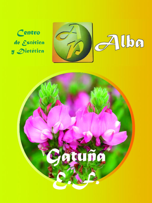 Gatuña E.F.