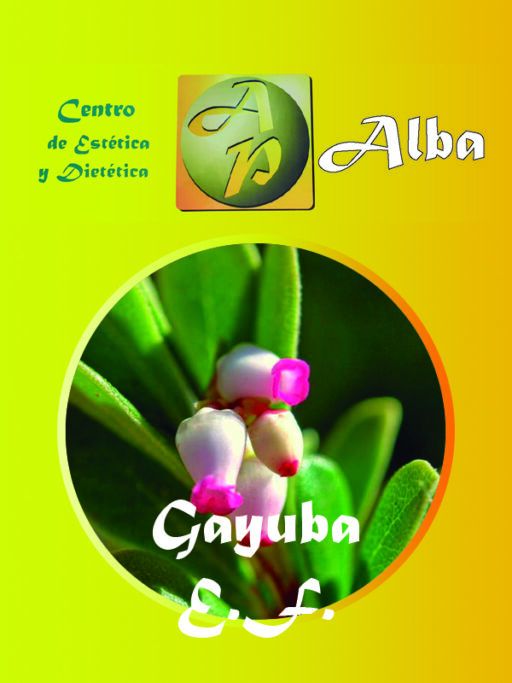 Gayuba E.F.