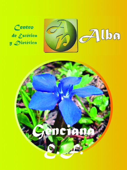 Genciana E.F.