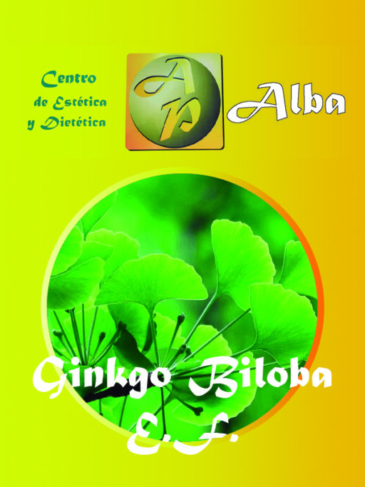 Ginkgo Biloba E.F.