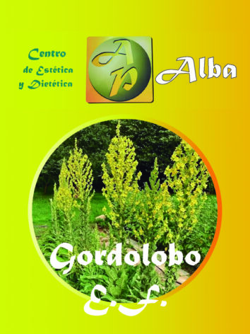 Gordolobo E.F.