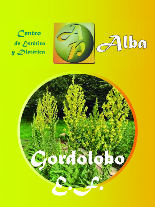 Gordolobo E.F.