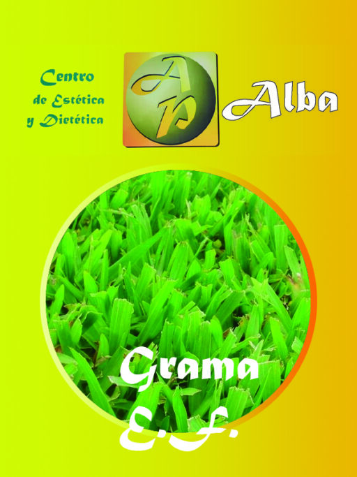 Grama E.F.