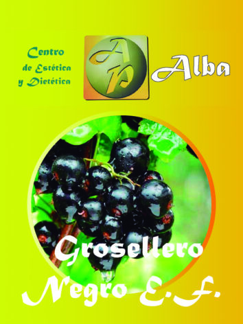 Grosellero Negro E.F.