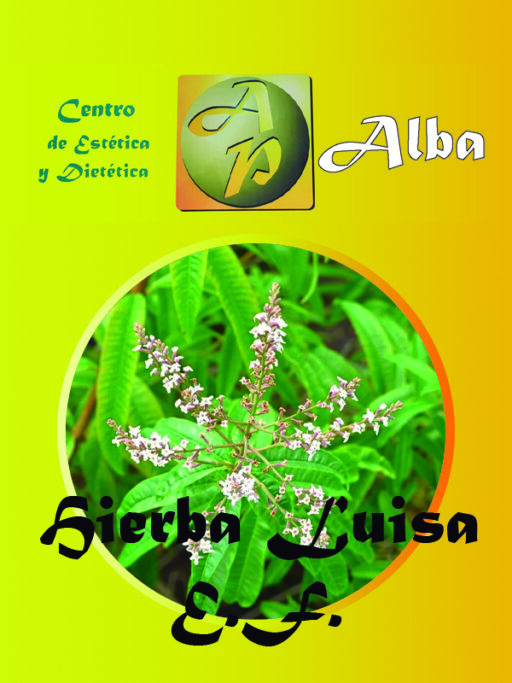 Hierba Luisa E.F.