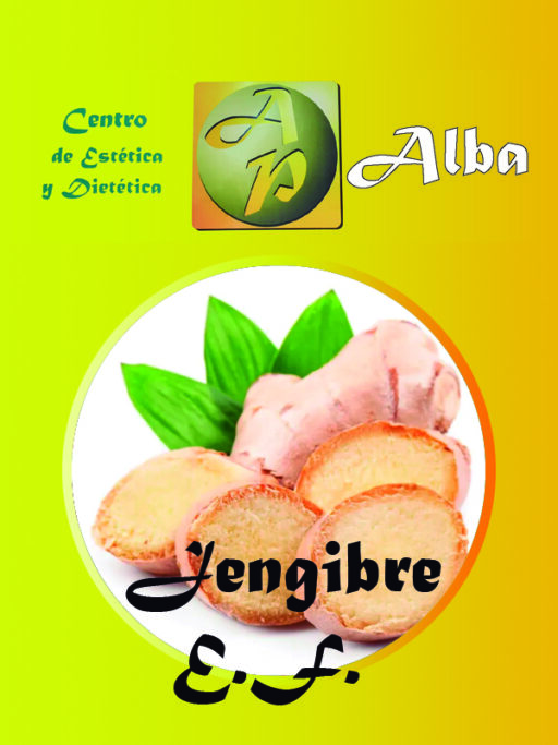 Jengibre E.F.