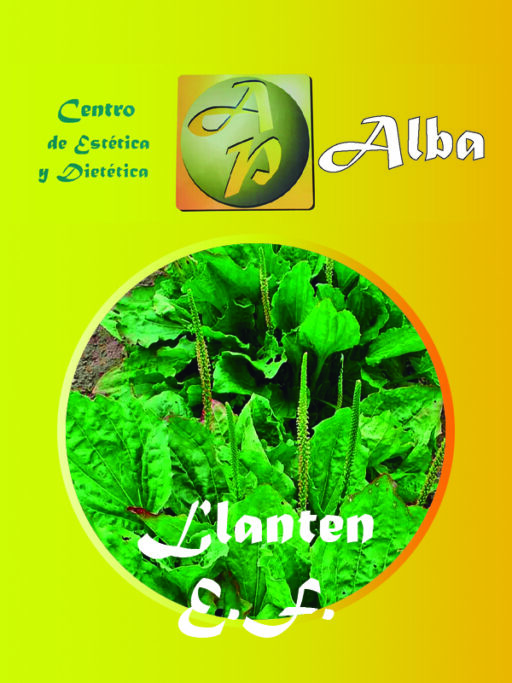 Llanten E.F.