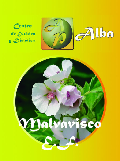 Malvavisco E.F.
