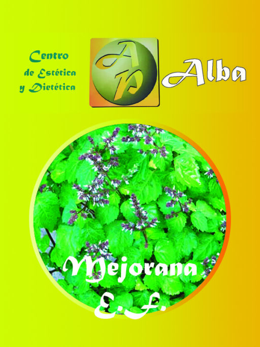 Mejorana E.F.