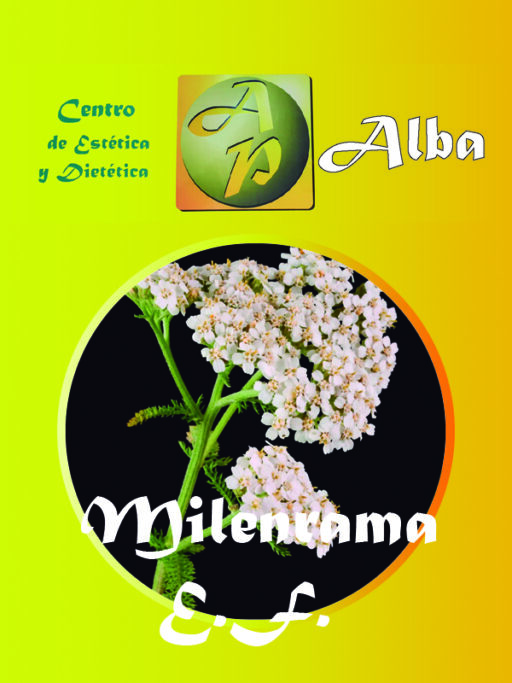 Milenrama E.F.