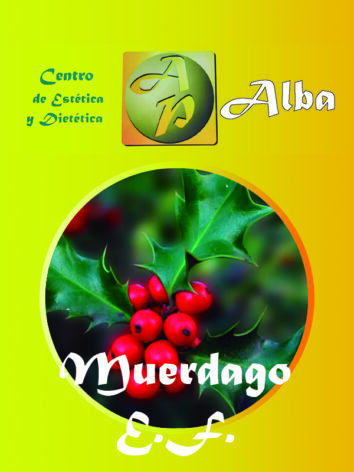 Muerdago E.F.