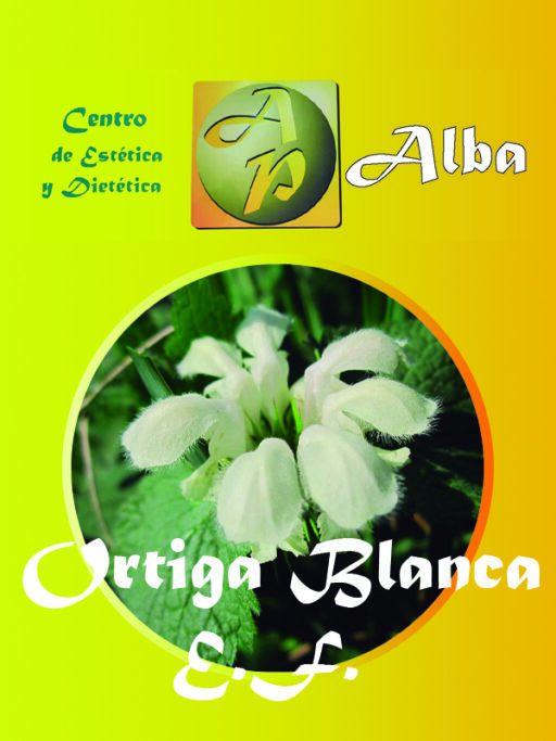 Ortiga Blanca E.F.