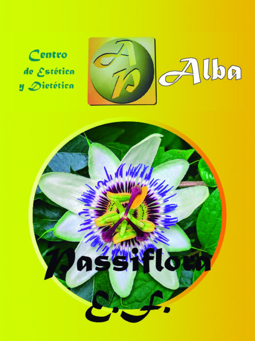 Passiflora E.F.