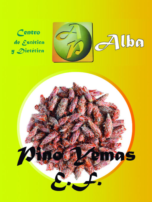 Pino Yemas E.F.