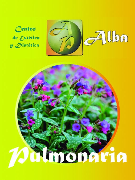 Pulmonaria