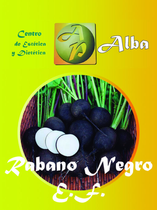 Rabano Negro E.F.