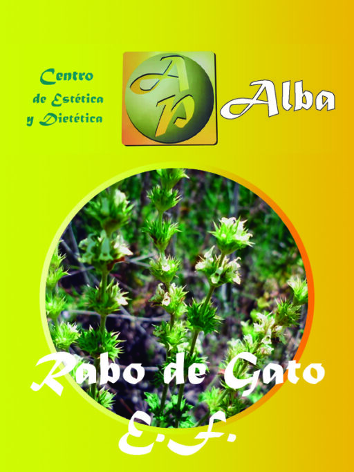Rabo de Gato E.F.