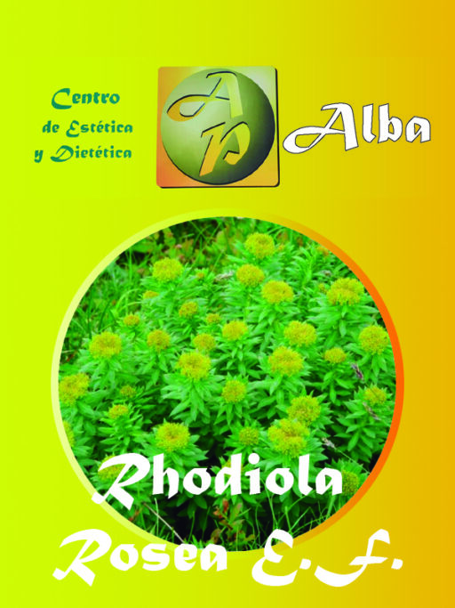 Rhodiola Rosea E.F.