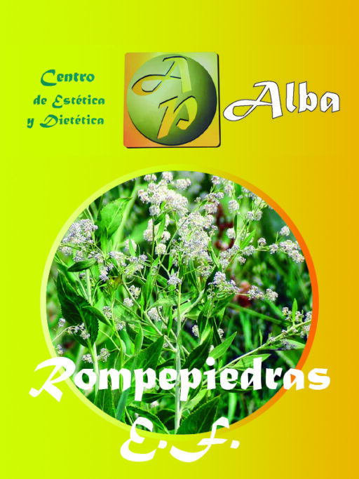 Rompepiedras E.F.