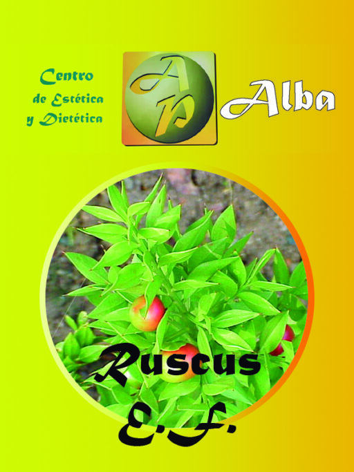 Ruscus E.F.