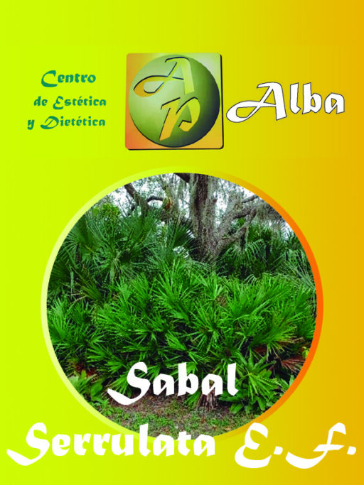 Sabal Serrulata E.F.