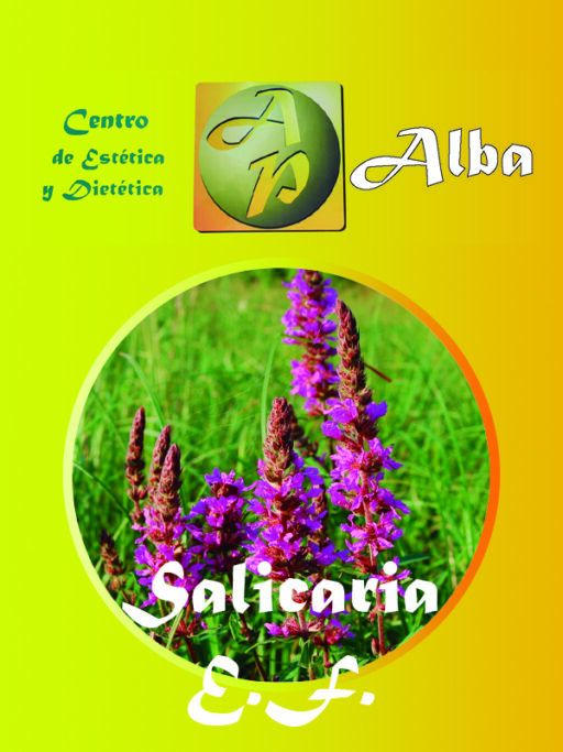 Salicaria E.F.
