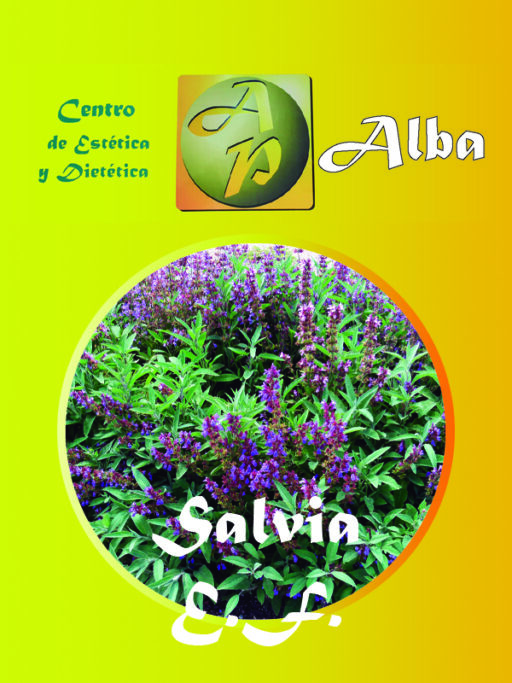 Salvia E.F.